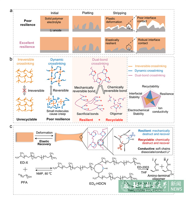 20240611材料學院青年教師在《Angew. Chem.》發表研究成果.jpg
