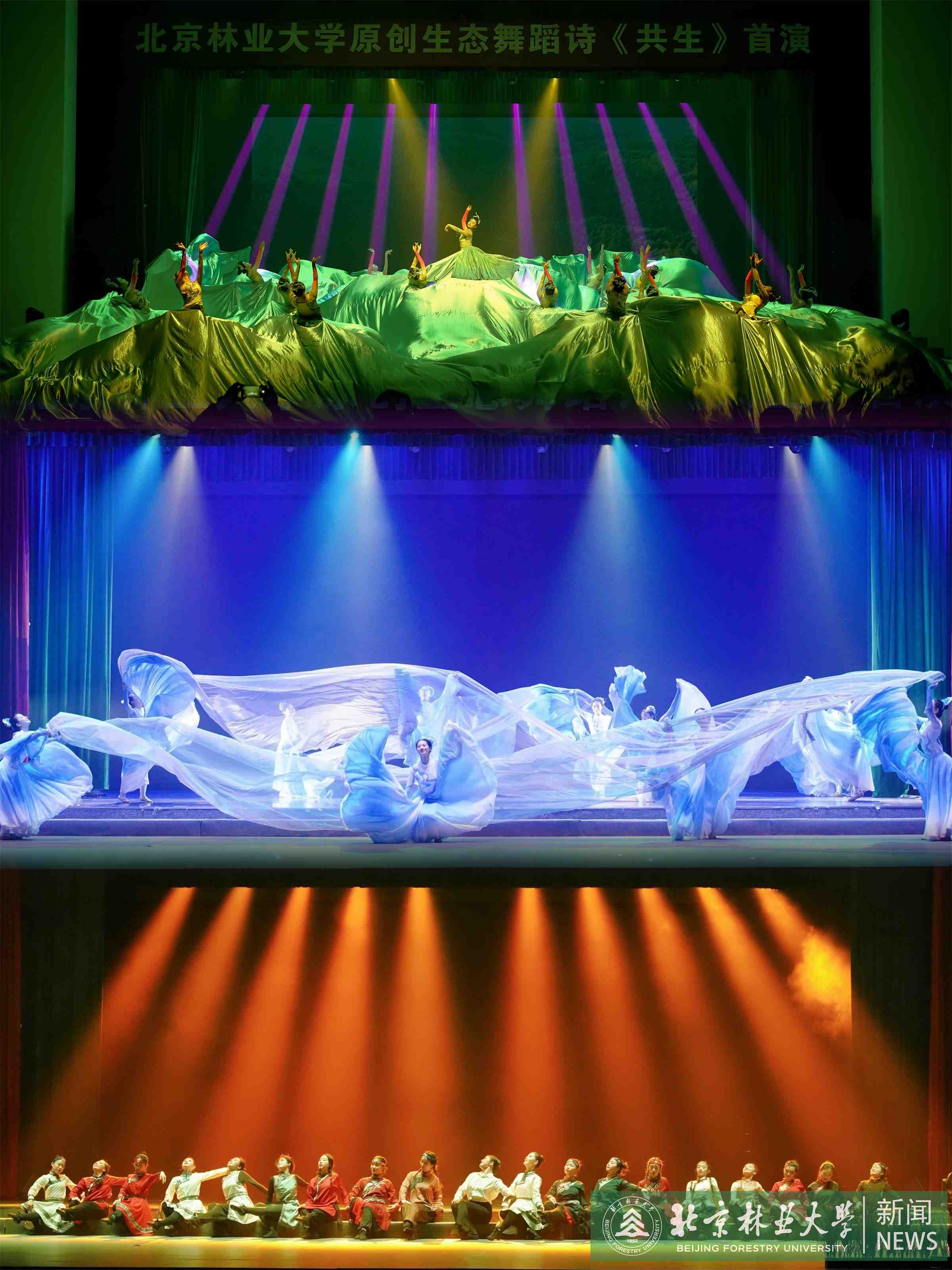 北林大原創(chuàng)生態(tài)舞蹈詩(shī)《共生》 (2).jpg